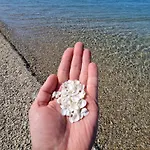 Case de vacanță Oikies *