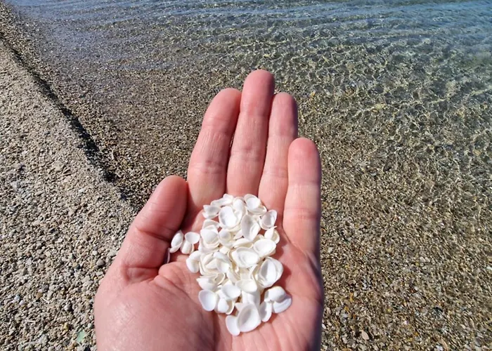 Дом отдыха Oikies *