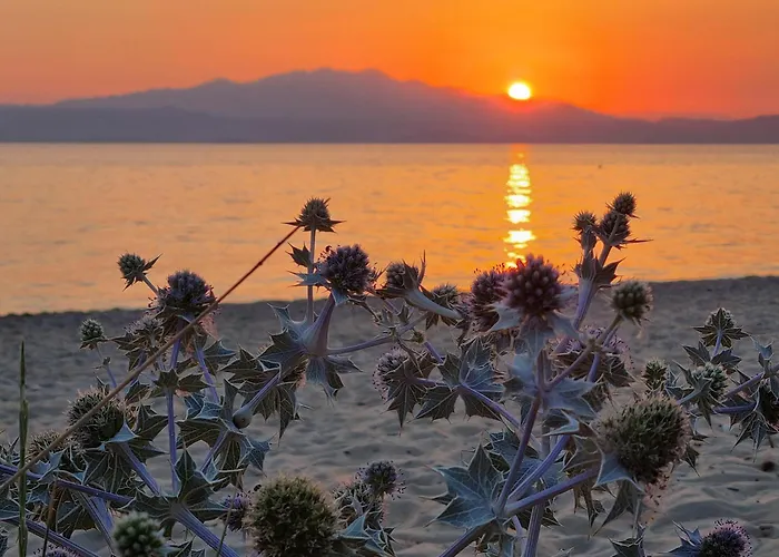 Oikies Дом отдыха